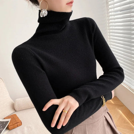 Camille Slim Fit Cashmere Blend Ribbed Turtleneck Jumper for Ladies